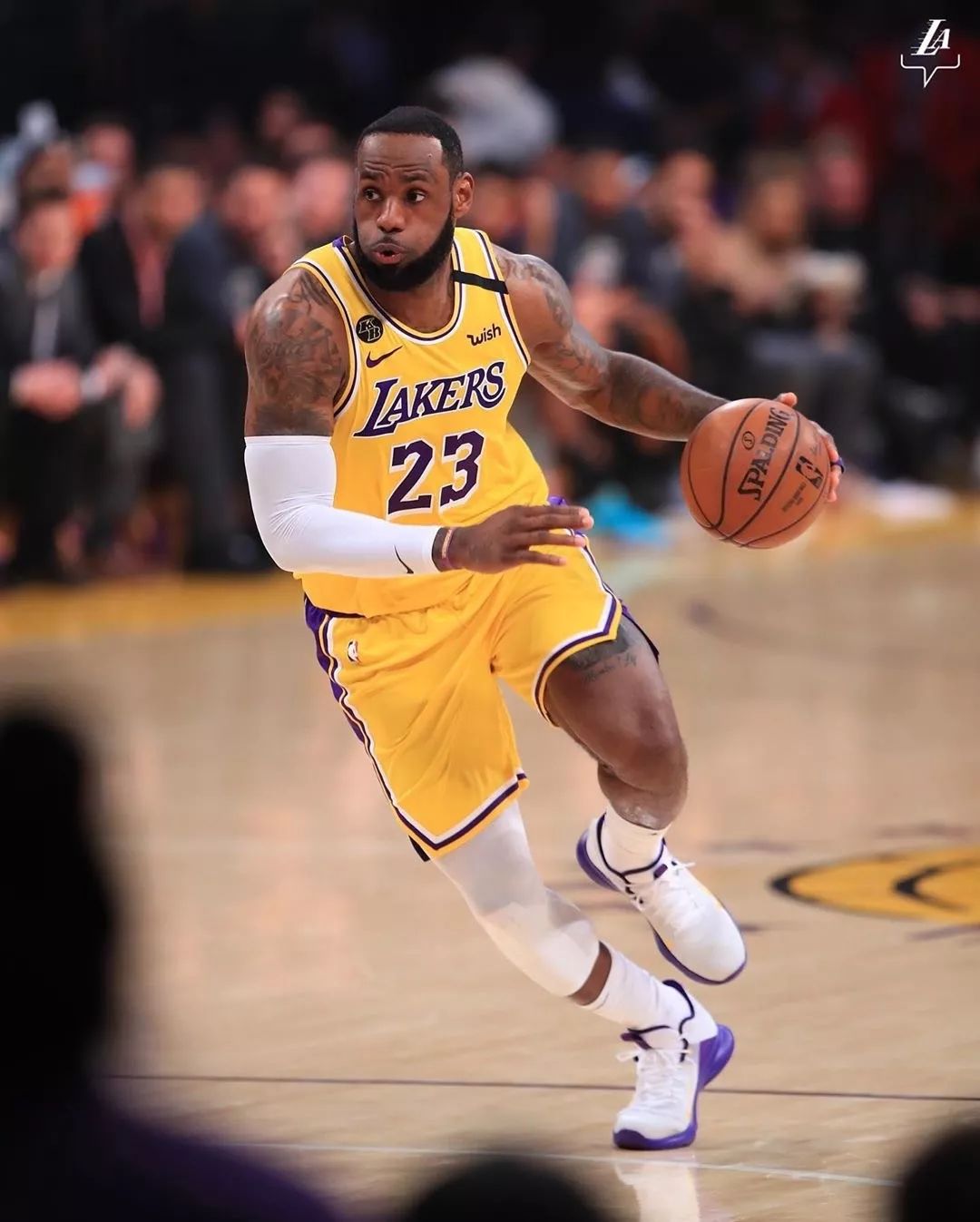 很多NBA 很多NBA